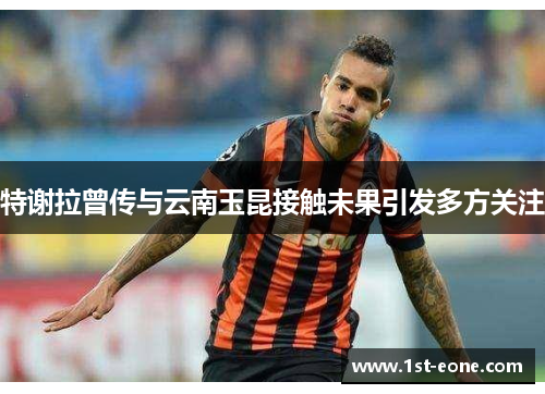 特谢拉曾传与云南玉昆接触未果引发多方关注